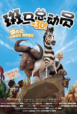 斑马总动员 高清封面
