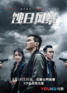 蚀日风暴国语版 高清封面