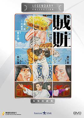 贼赃 高清封面