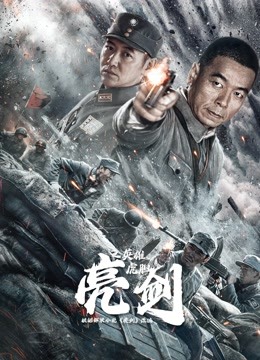 亮剑之英雄虎胆 高清封面
