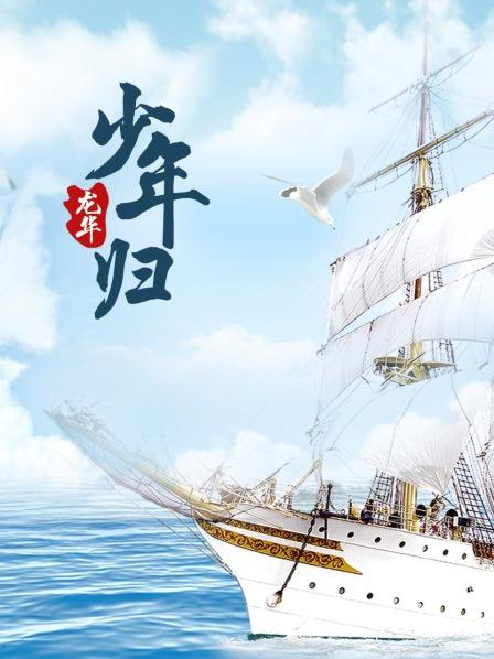 龙华之少年归 高清封面