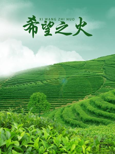 希望之火 高清封面