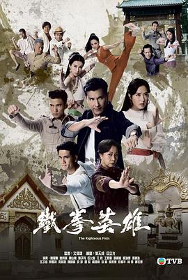 铁拳英雄粤语 高清封面