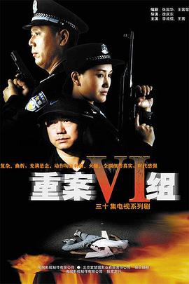 重案六组 高清封面