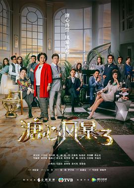 溏心风暴3粤语 高清封面