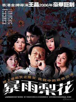 暴雨梨花 高清封面