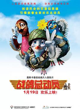 战鸽总动员 高清封面