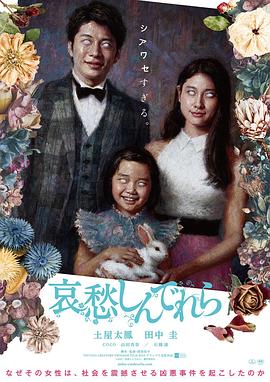哀愁灰姑娘 高清封面