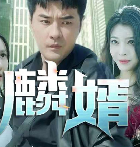 麟婿 高清封面