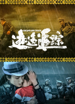 逃逸追踪 高清封面