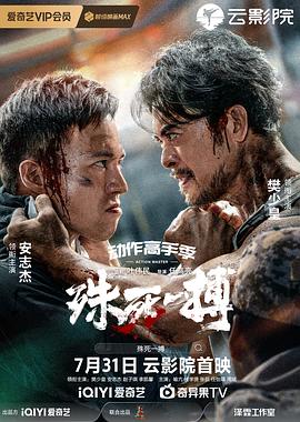 殊死一搏 高清封面