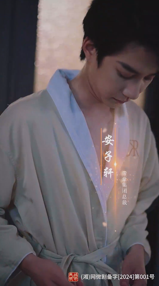假意真情 高清封面
