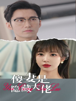 傻妻是隐藏大佬 高清封面