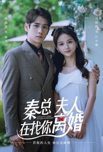 秦总，夫人在找你离婚 高清封面