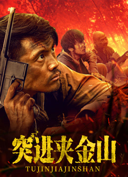 突进夹金山 高清封面