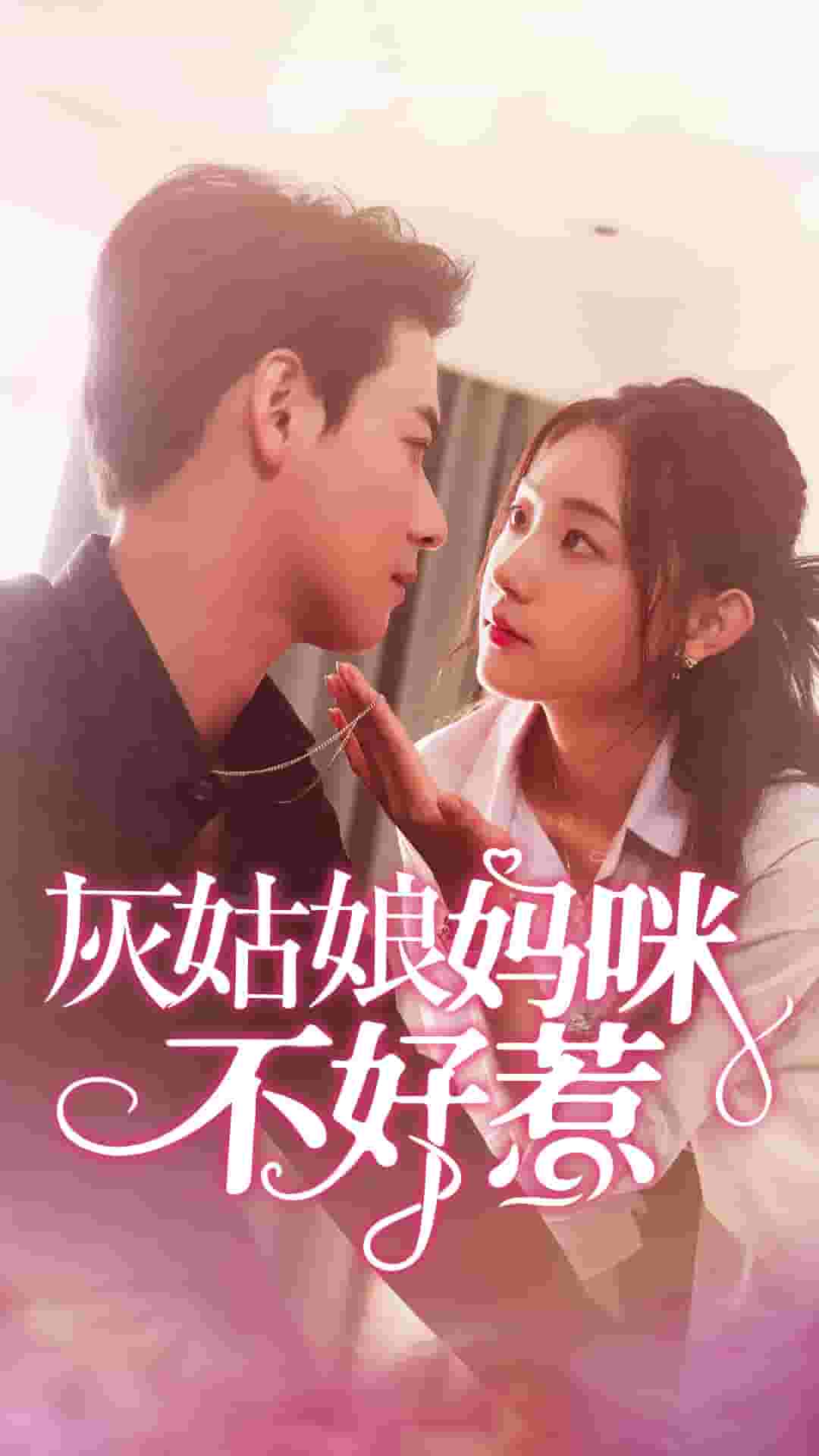 灰姑娘妈咪不好惹 高清封面