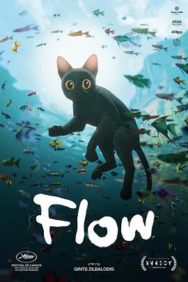 猫猫的奇幻漂流 高清封面