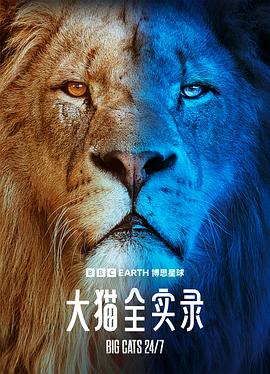 大猫全实录 高清封面