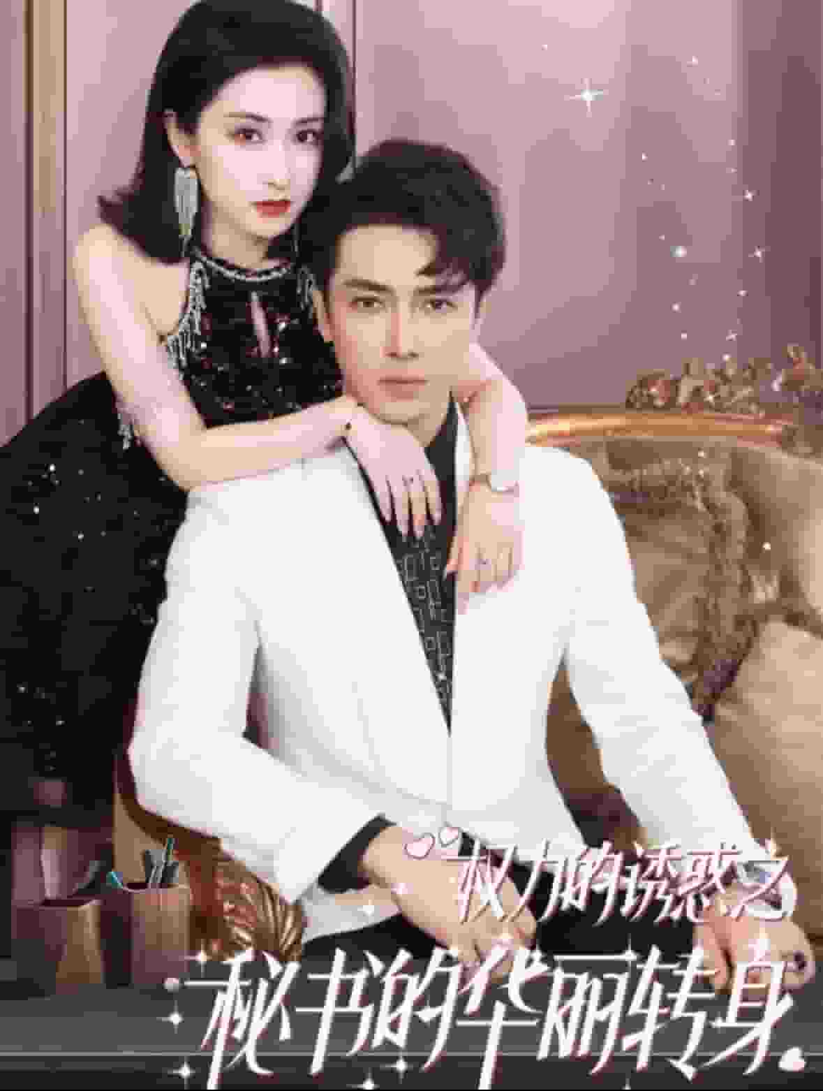 权利的诱惑之秘书的华丽转身 高清封面