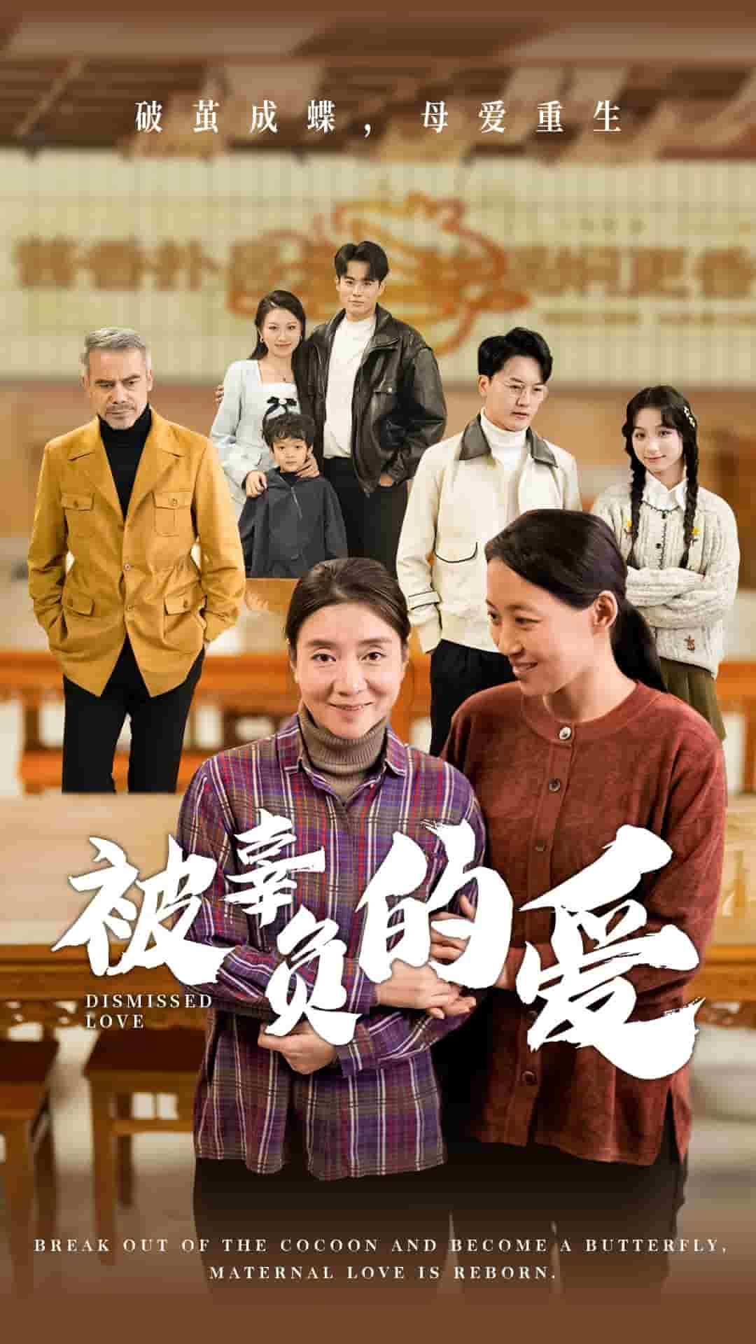 被辜负的爱 高清封面