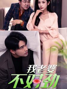 我老婆不对劲 高清封面