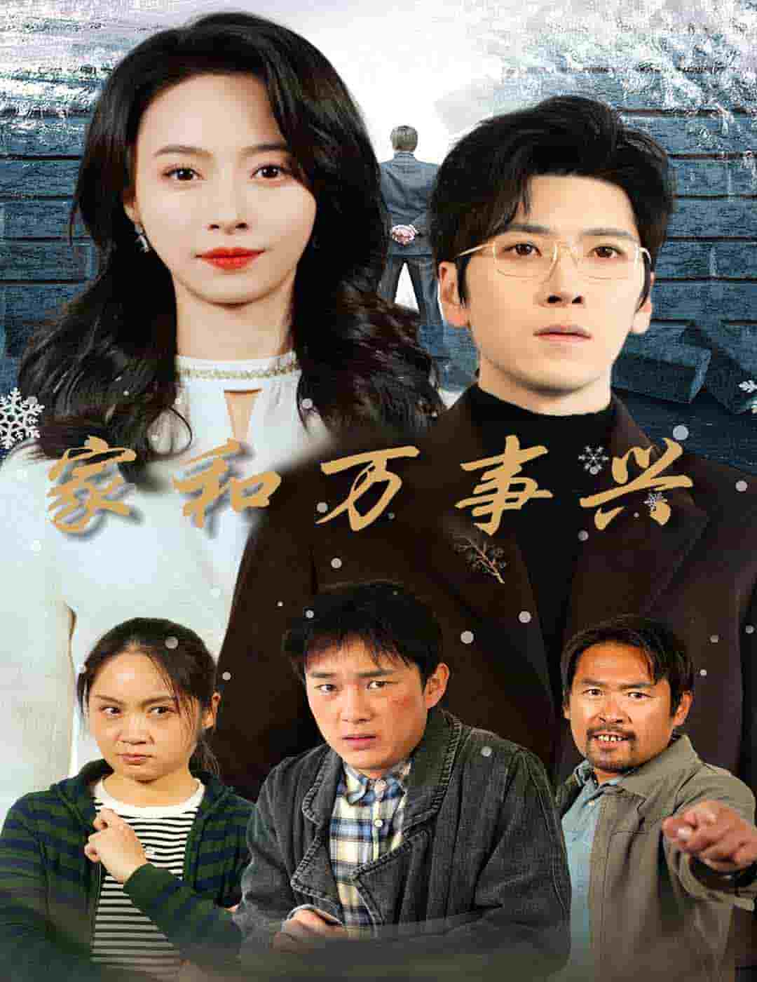 家和万事兴 短剧版 高清封面