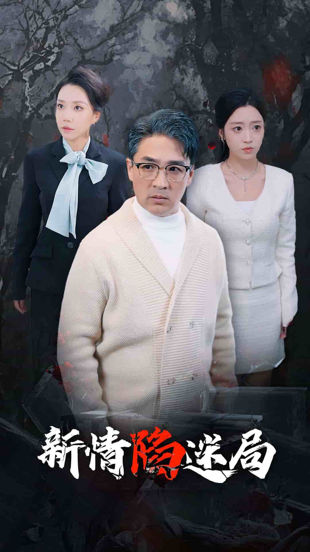 新情陷迷局 高清封面