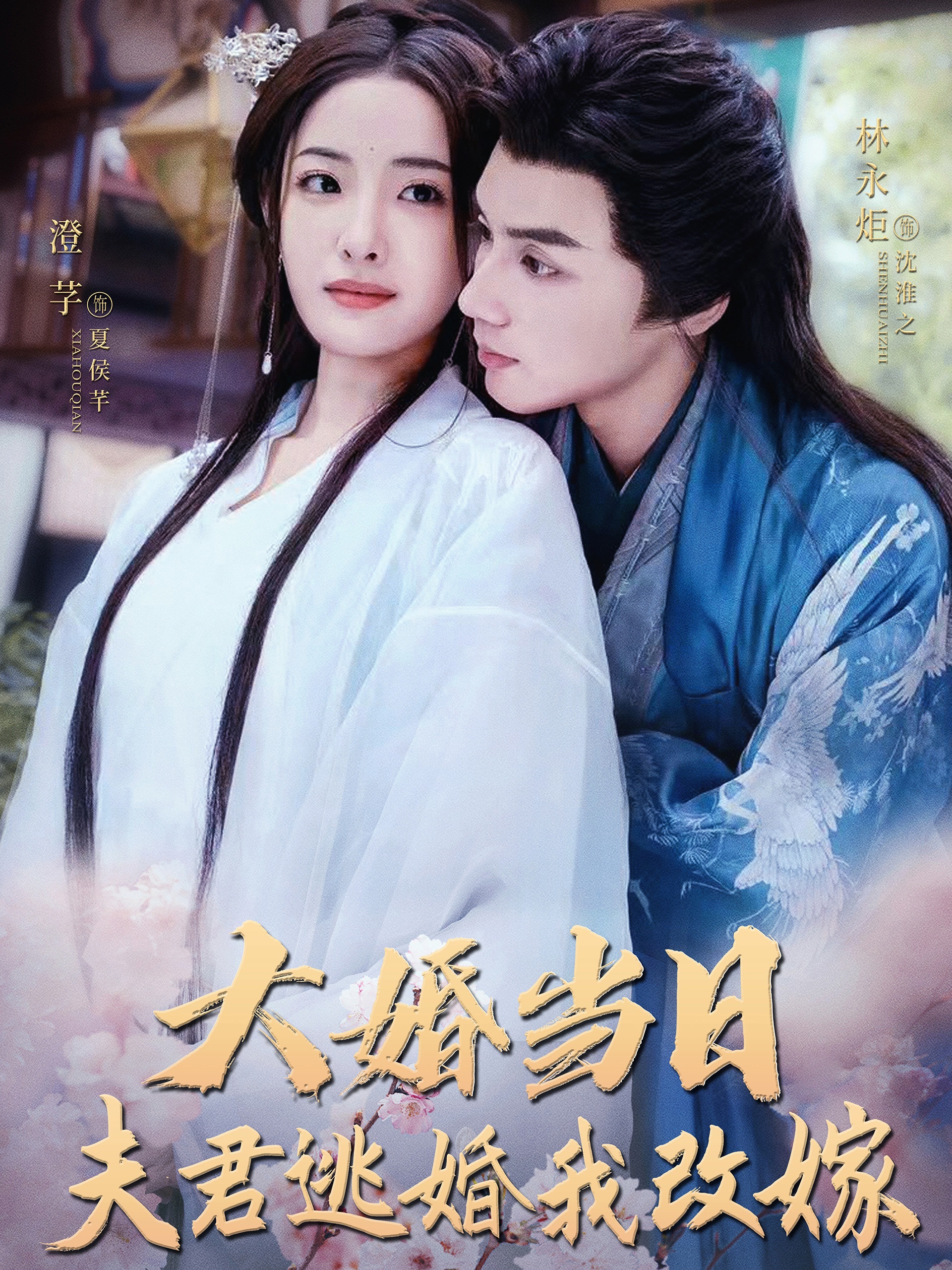 大婚当日夫君逃婚我改嫁 高清封面