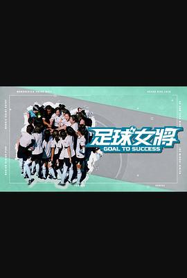 足球女将粤语 高清封面