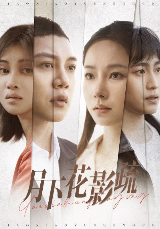 月下花影疏 高清封面