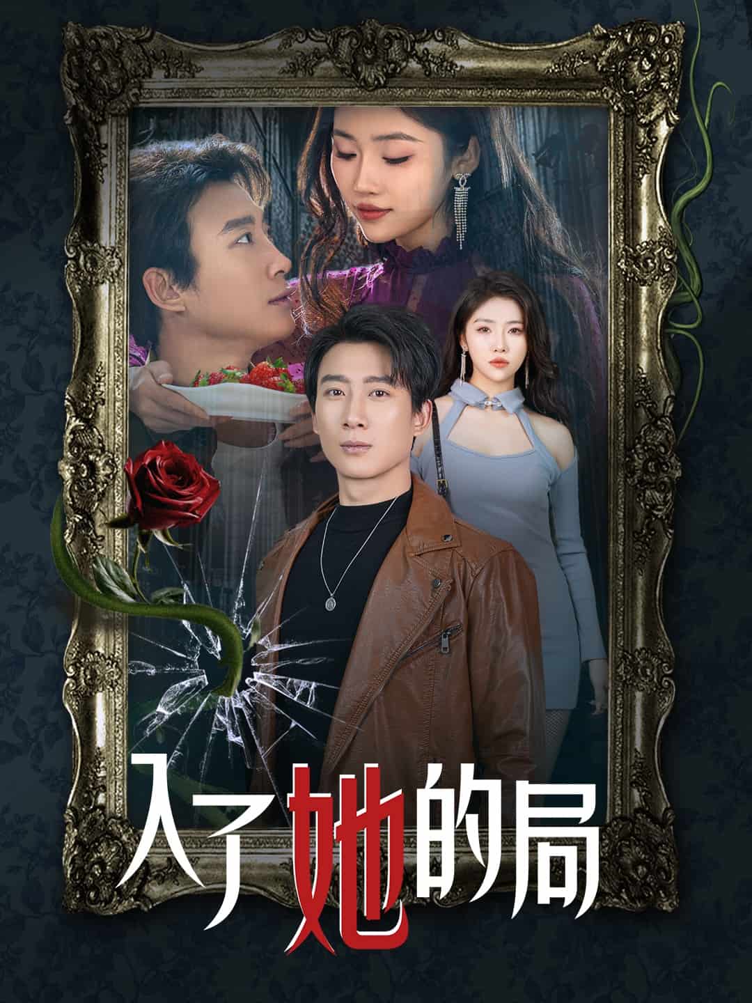 入了她的局 高清封面