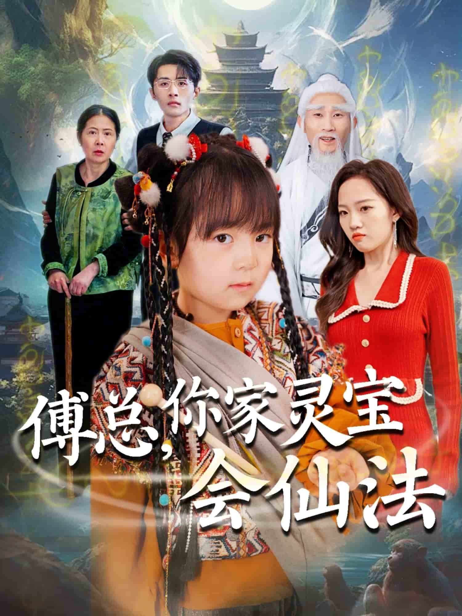 傅总，你家灵宝会仙法 高清封面