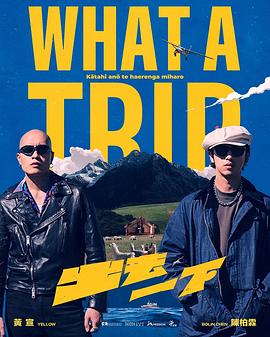 出去一下What A Trip 高清封面