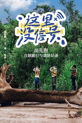 这里没信号 高清封面