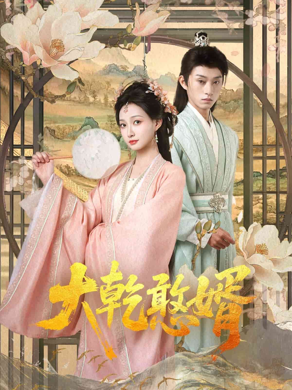 大乾憨婿 高清封面