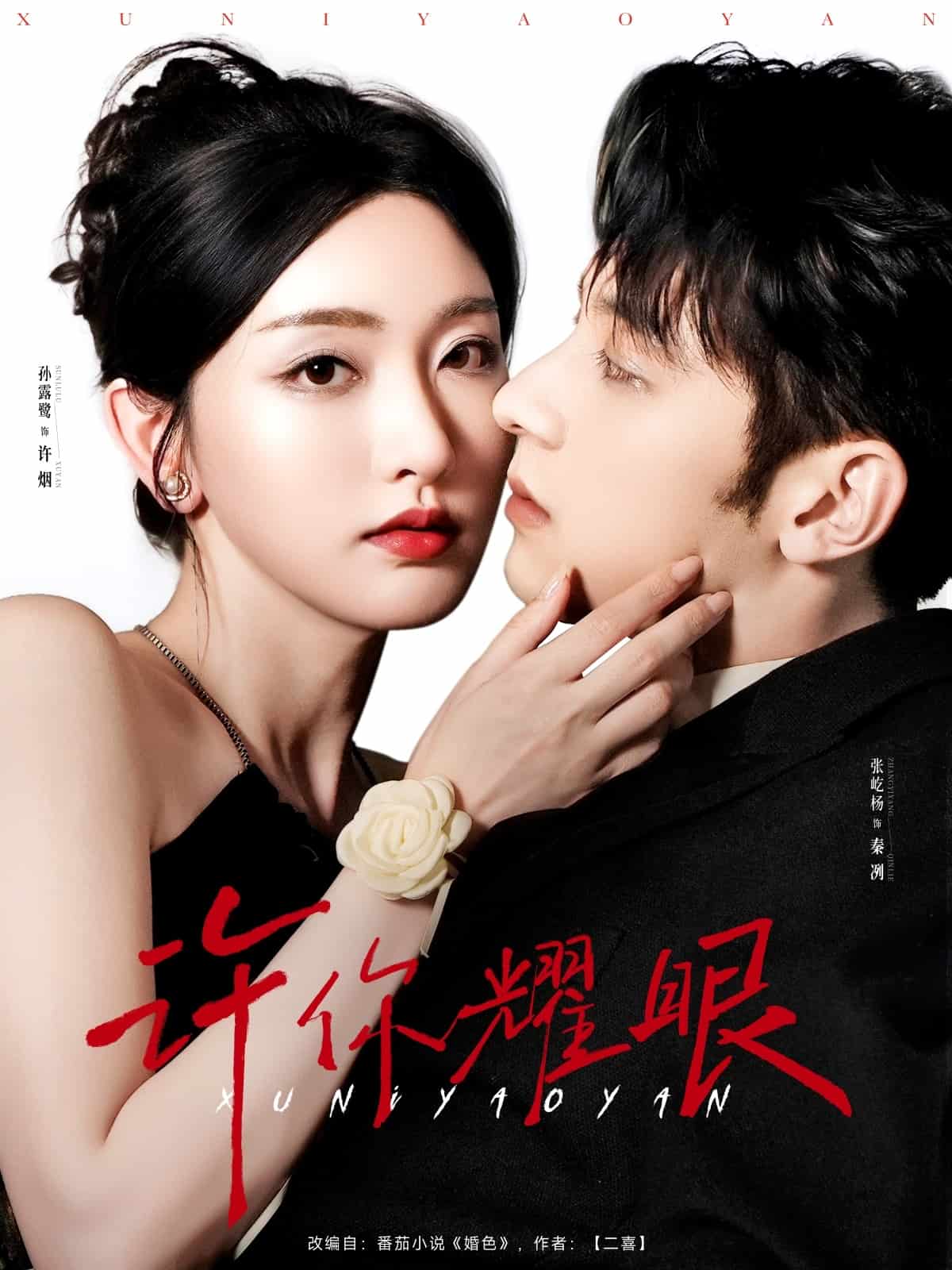许你耀眼 高清封面
