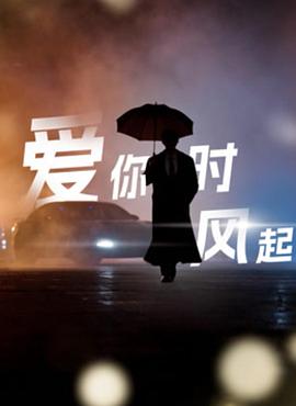 爱你时风起 高清封面