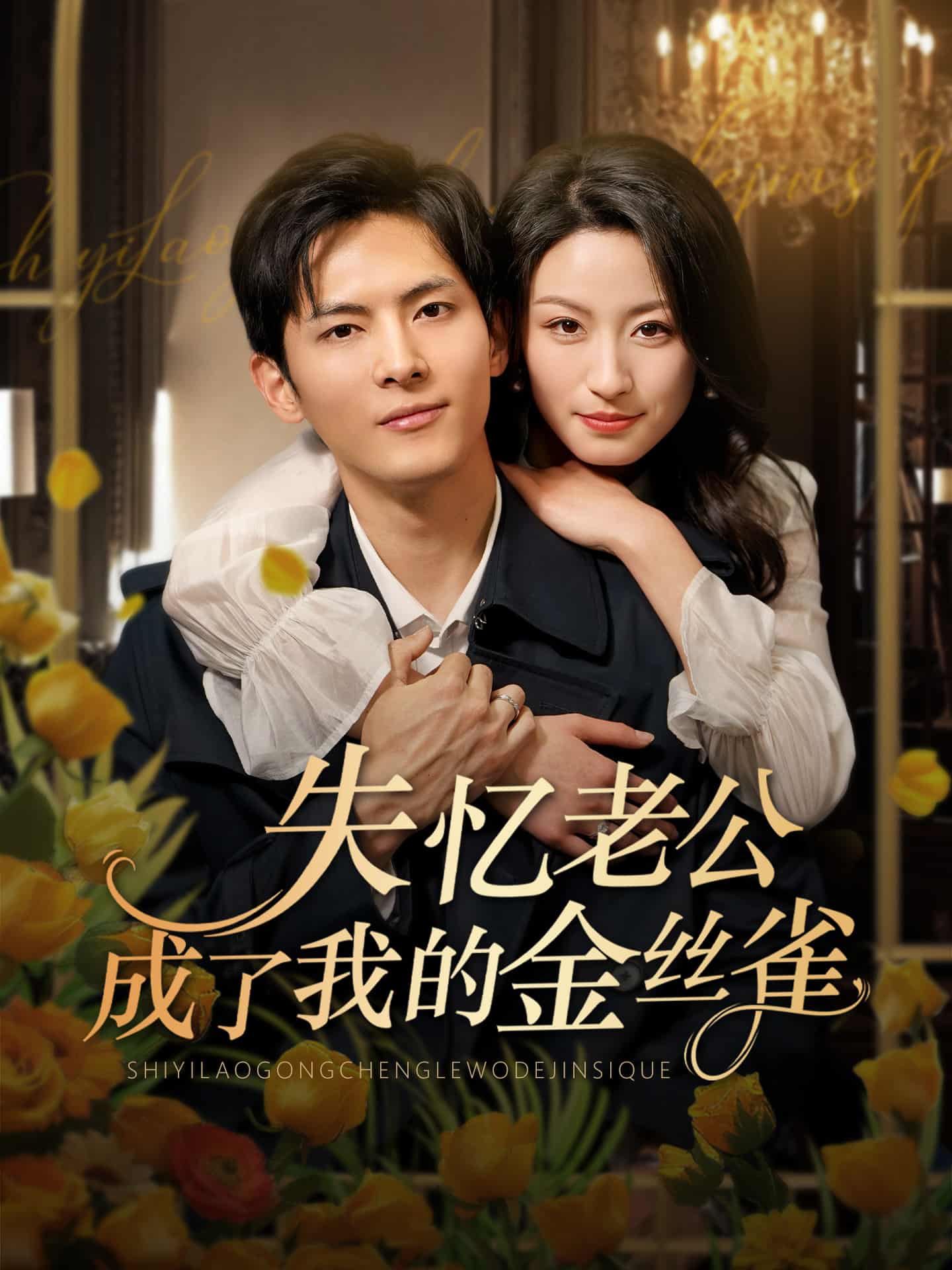 失忆老公成了我的金丝雀 高清封面