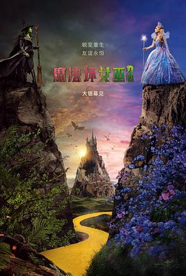 魔法坏女巫2 高清封面