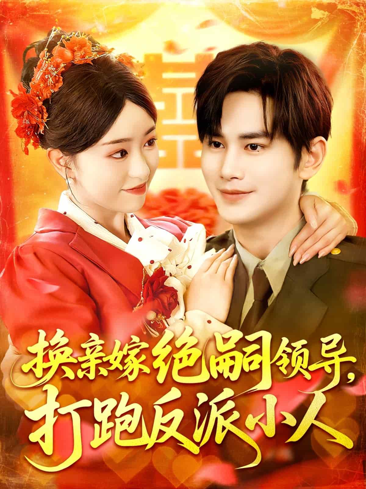 换亲嫁绝嗣领导打跑反派小人 高清封面