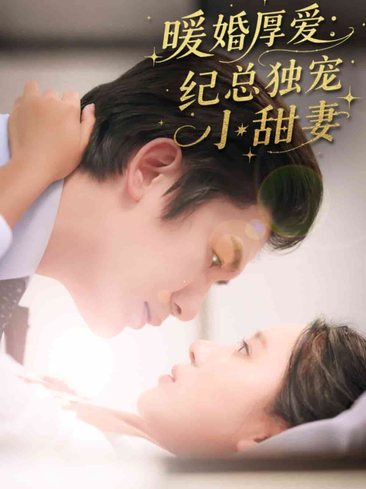 暖婚厚爱纪总独宠小甜妻 高清封面