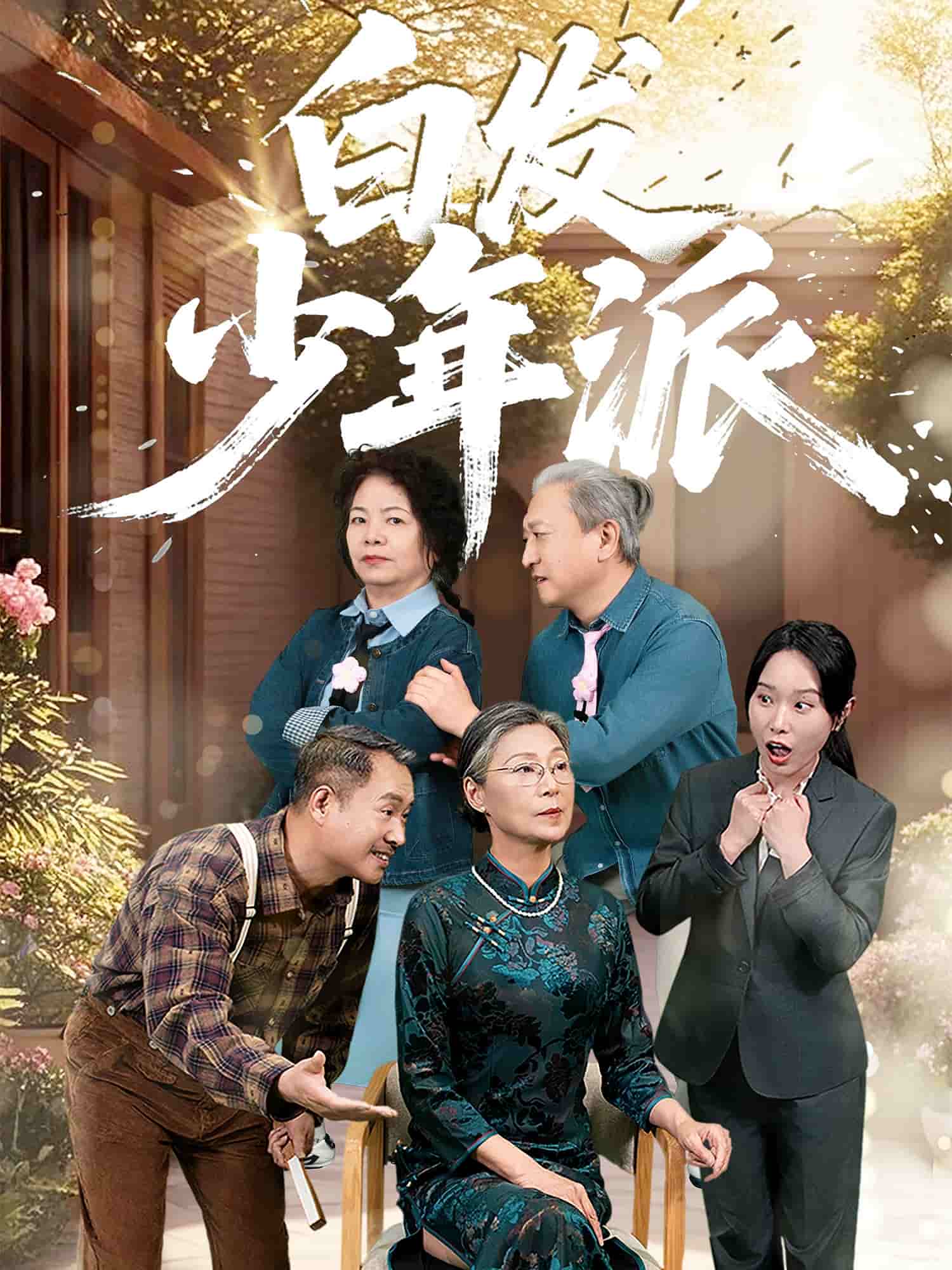 白发少年派 高清封面