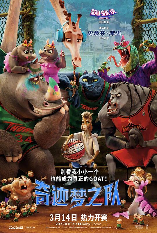 奇迹梦之队 高清封面