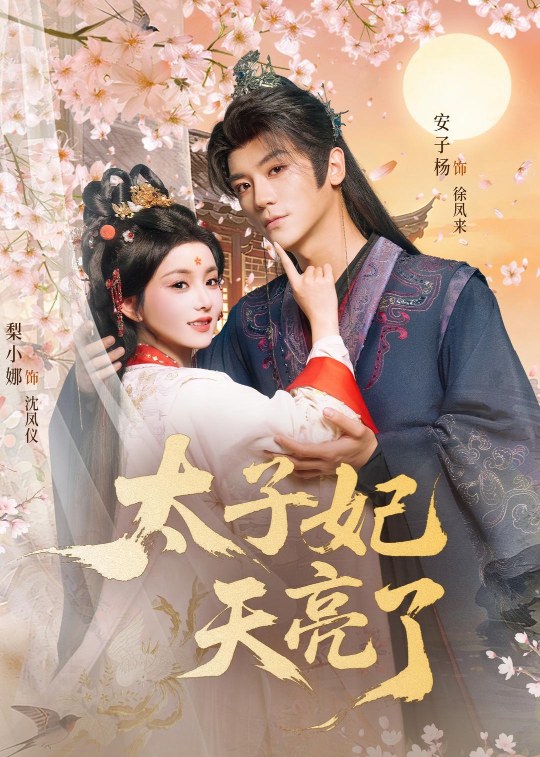 太子妃天亮了 高清封面