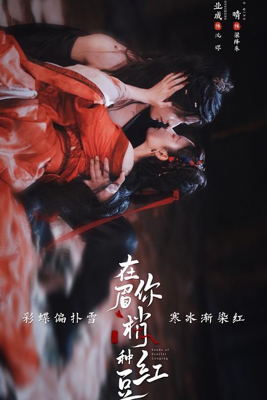 在你眉梢种红豆 高清封面