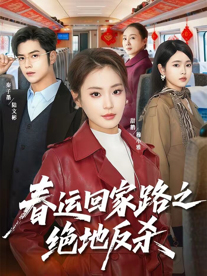 春运回家路之绝地反杀 高清封面