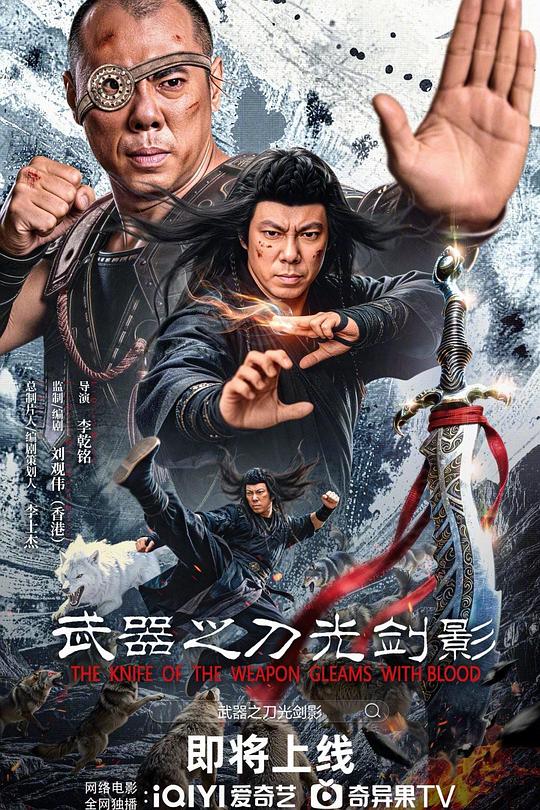 武器之刀光剑影 高清封面
