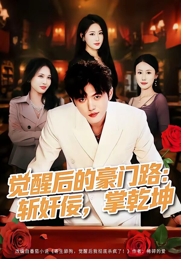 觉醒后的豪门路：斩奸佞掌乾坤 高清封面