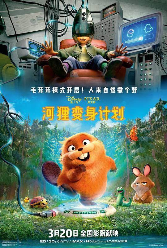 河狸变身计划 高清封面