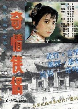 奇情侠侣 高清封面